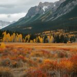 Kaybolan Renkler Diyari