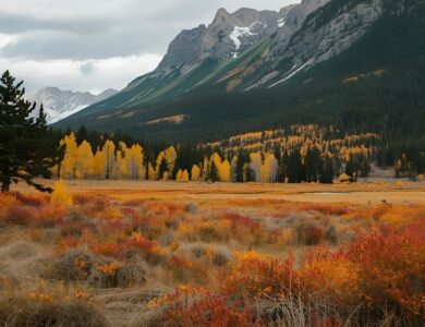 Kaybolan Renkler Diyari
